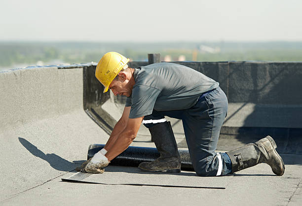 Best Insulation Materials and Products in Jacksonville, AL