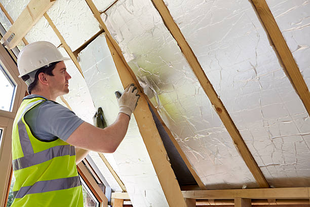 Best Insulation Maintenance and Repair in Jacksonville, AL
